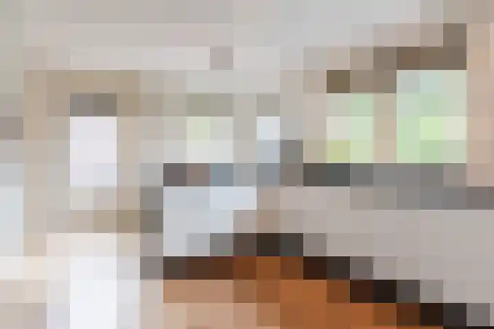 Schaapvelden 6 Best thumbnail 17