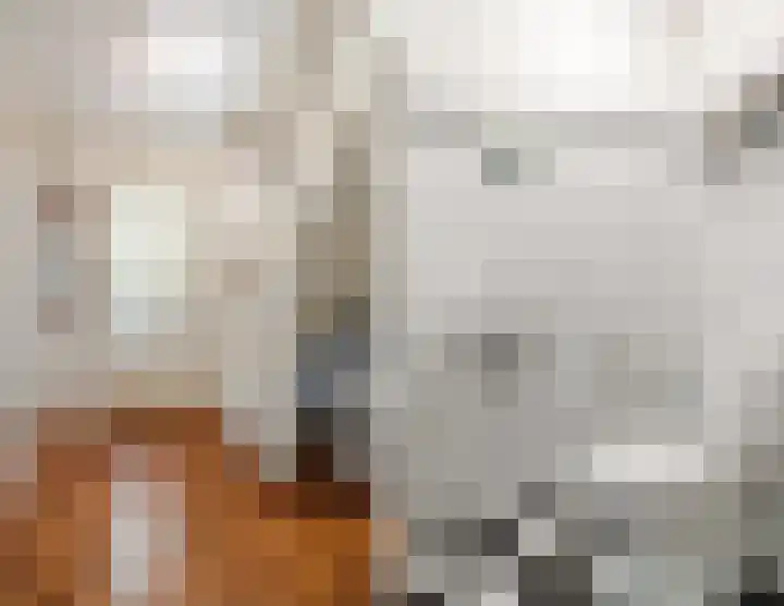Schaapvelden 6 Best thumbnail 19