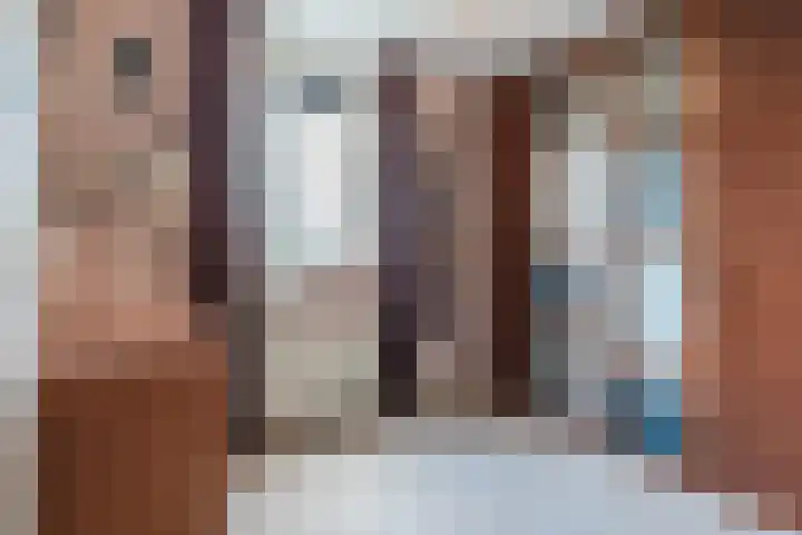 Schaapvelden 6 Best thumbnail 20