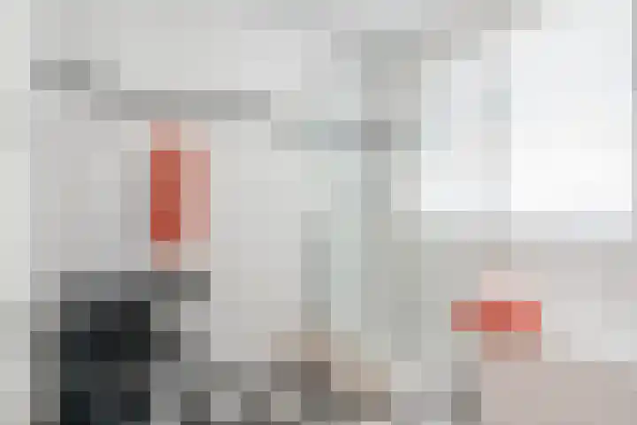 Schaapvelden 6 Best thumbnail 24