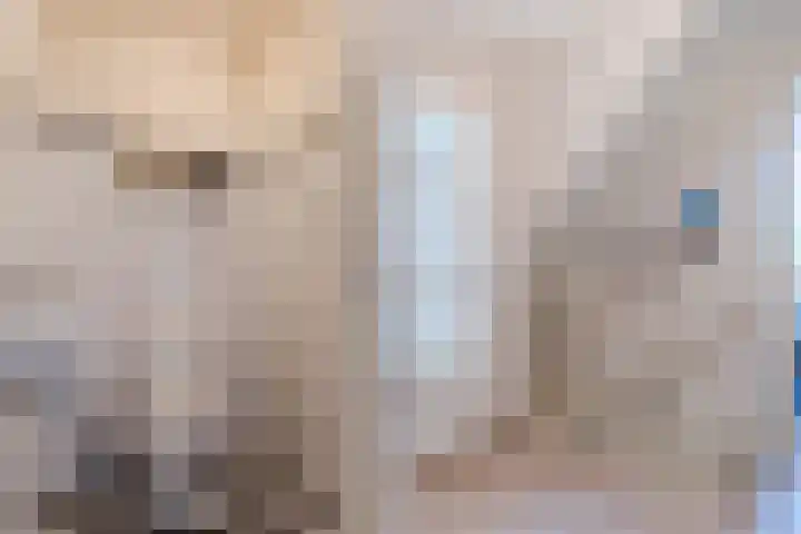 Schaapvelden 6 Best thumbnail 26
