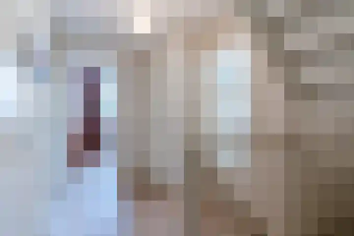 Schaapvelden 6 Best thumbnail 28