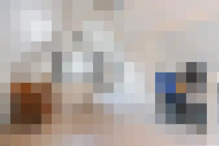 Schaapvelden 6 Best thumbnail 30