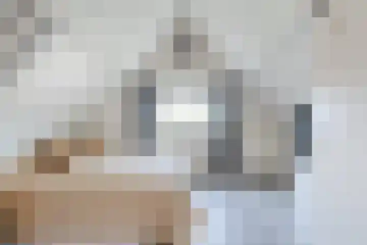 Schaapvelden 6 Best thumbnail 31
