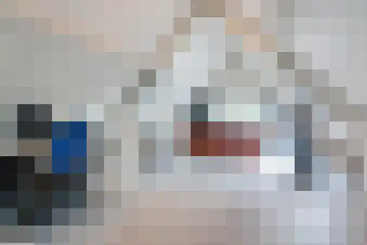 Schaapvelden 6 Best thumbnail 32