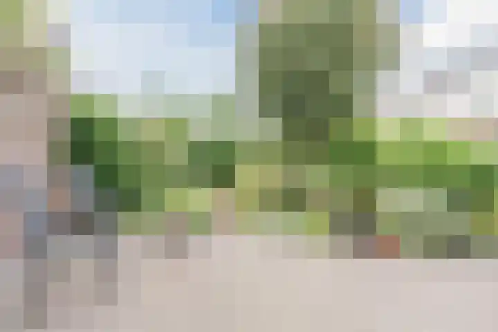Schaapvelden 6 Best thumbnail 35