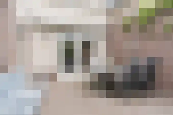 Schaapvelden 6 Best thumbnail 36