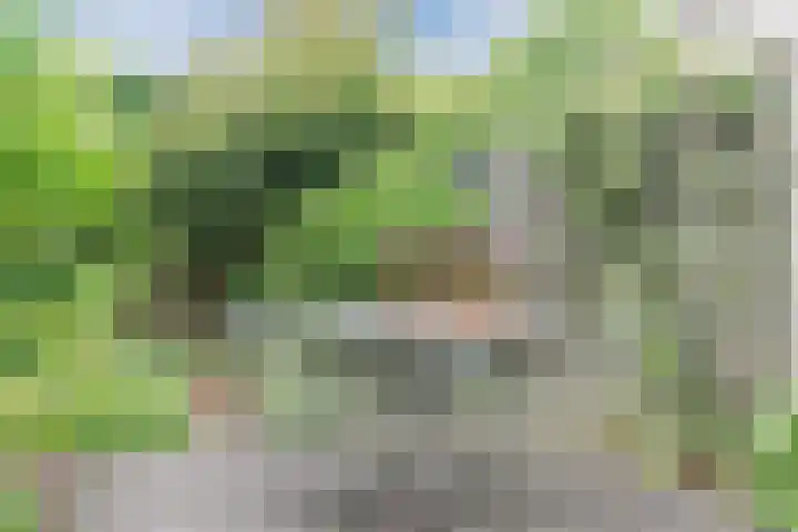 Schaapvelden 6 Best thumbnail 38