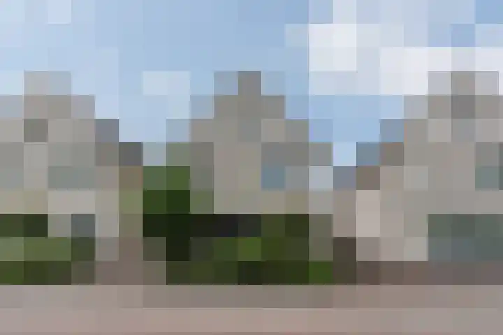 Schaapvelden 6 Best thumbnail 40