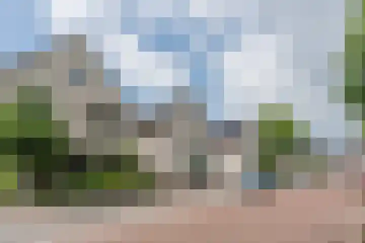 Schaapvelden 6 Best thumbnail 41