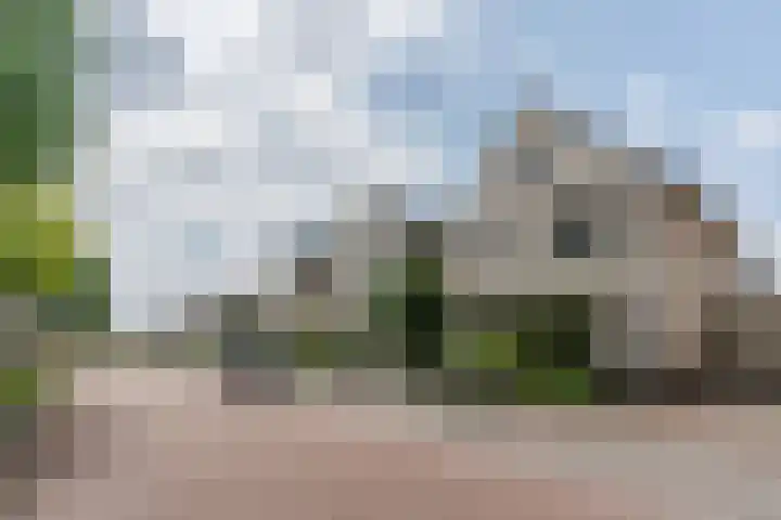 Schaapvelden 6 Best thumbnail 42