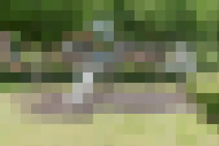 Schaapvelden 6 Best thumbnail 43