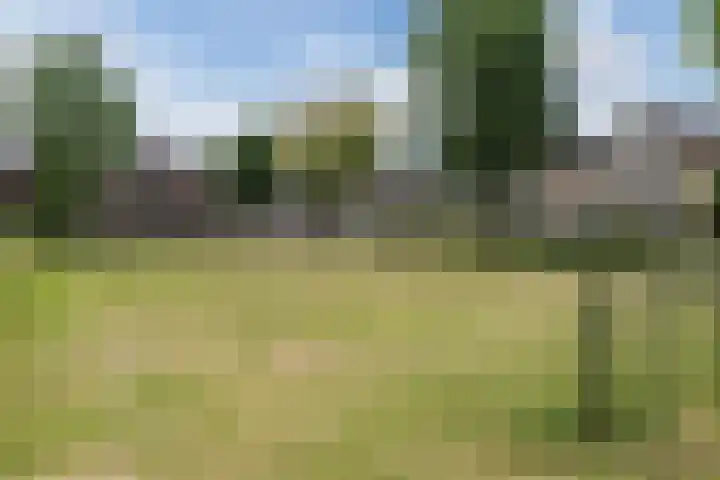 Schaapvelden 6 Best thumbnail 44