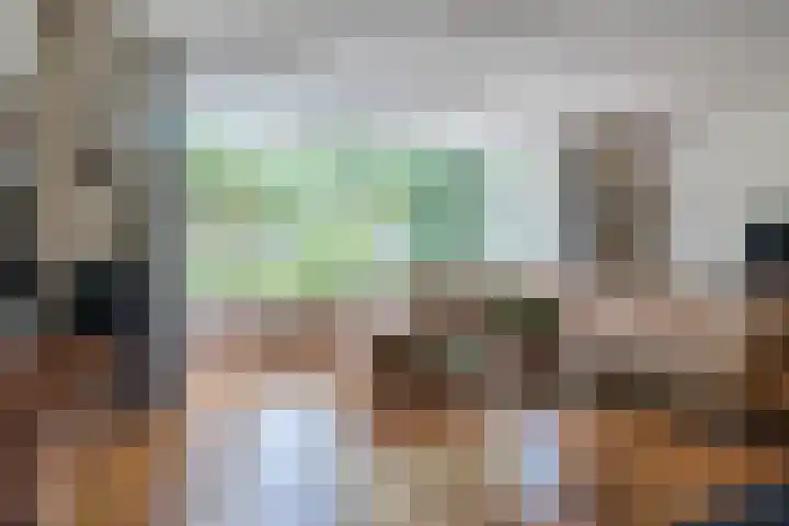 Schaapvelden 6 Best thumbnail 7