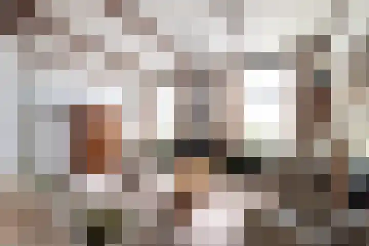 Schaapweg 13 Apeldoorn thumbnail 11
