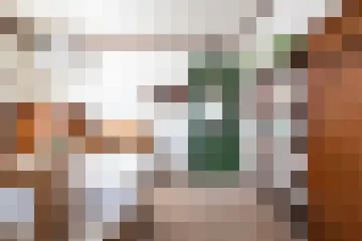 Schaapweg 13 Apeldoorn thumbnail 12