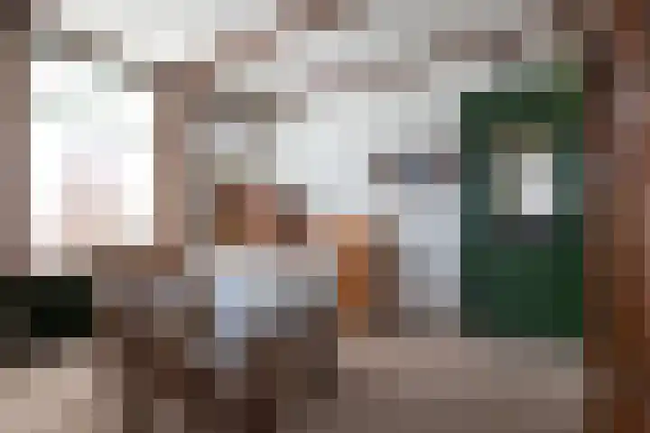 Schaapweg 13 Apeldoorn thumbnail 13