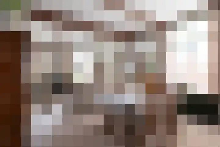 Schaapweg 13 Apeldoorn thumbnail 15
