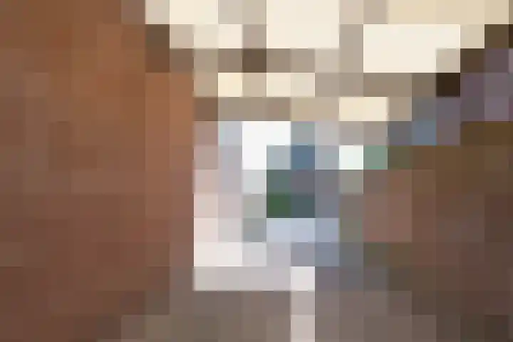 Schaapweg 13 Apeldoorn thumbnail 21