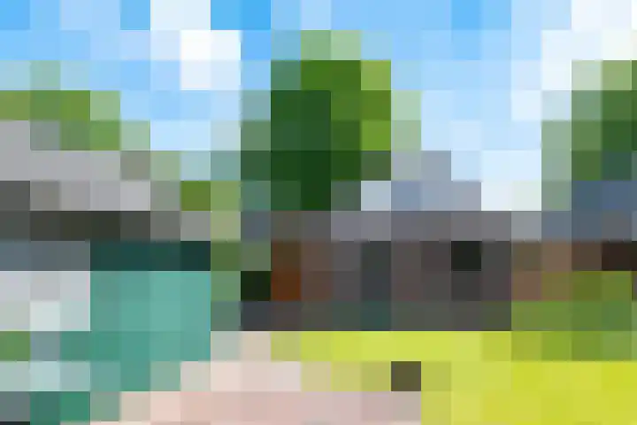 Schaapweg 13 Apeldoorn thumbnail 25