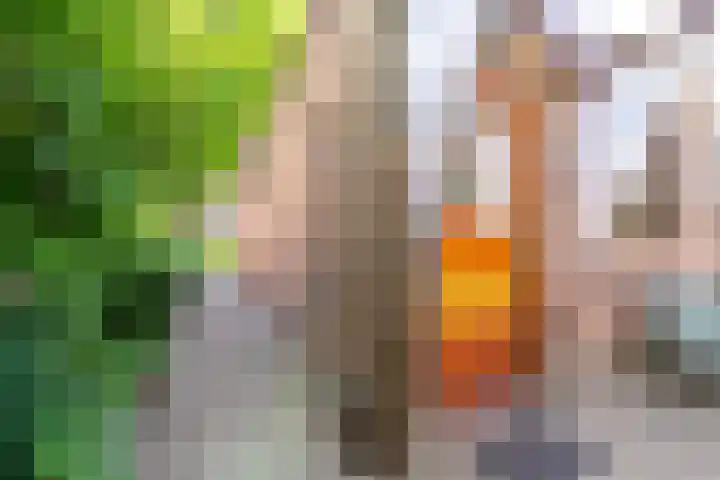 Schaapweg 13 Apeldoorn thumbnail 26