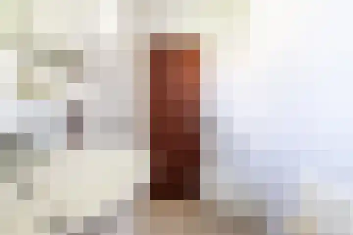 Schaapweg 13 Apeldoorn thumbnail 28