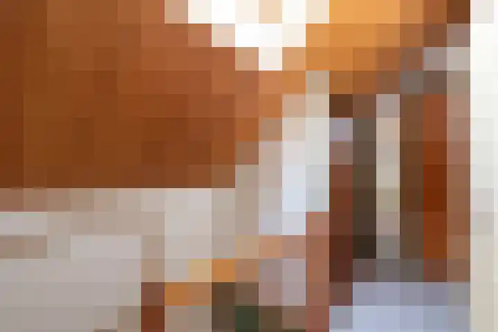 Schaapweg 13 Apeldoorn thumbnail 31