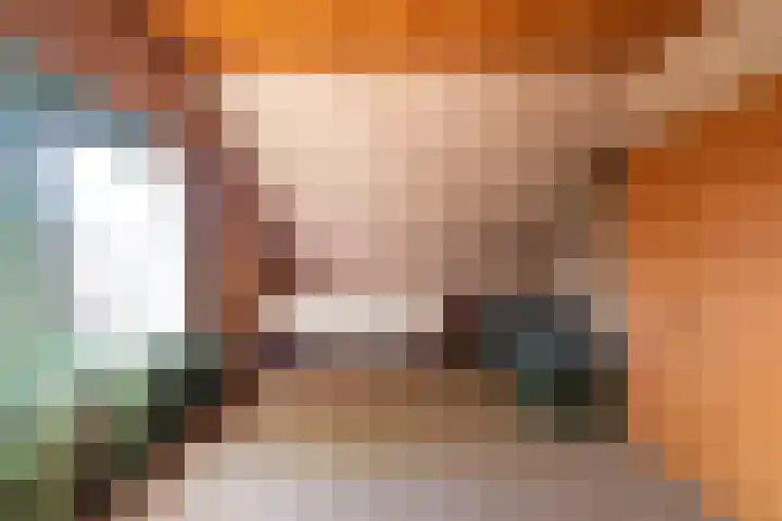 Schaapweg 13 Apeldoorn thumbnail 34