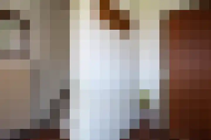 Schaapweg 13 Apeldoorn thumbnail 7