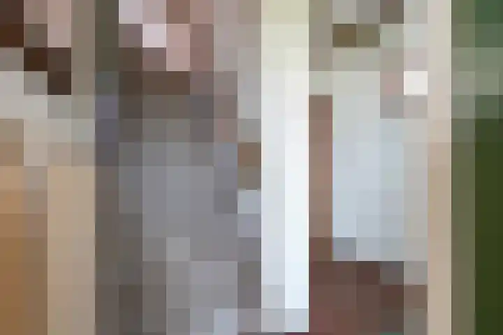 Schaapweg 13 Apeldoorn thumbnail 8