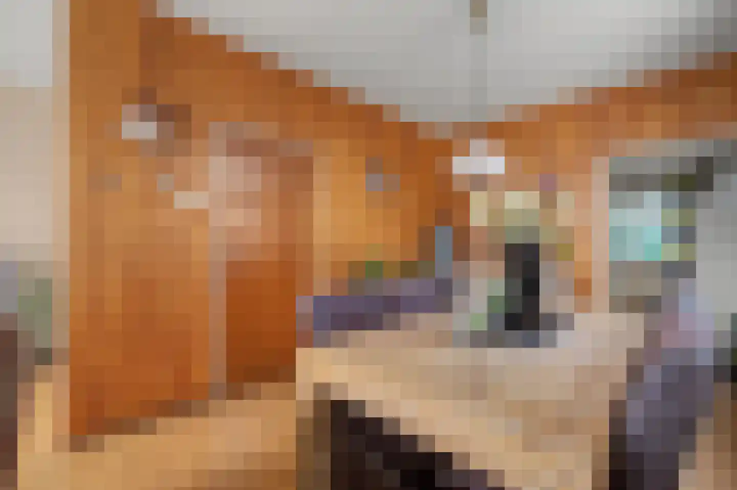 Schaapweg 29 Apeldoorn thumbnail 10
