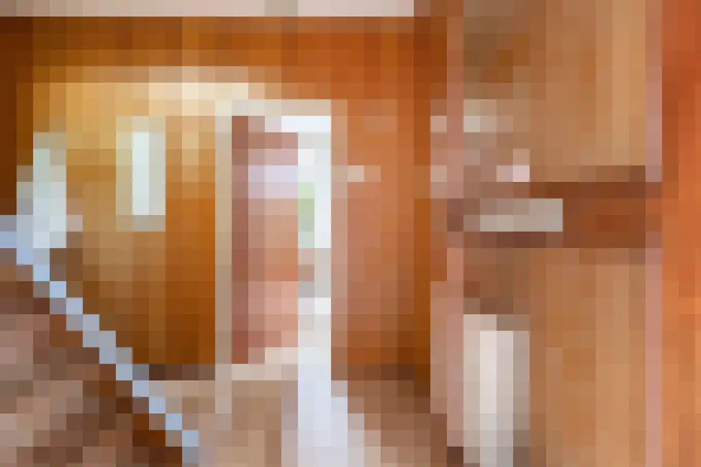 Schaapweg 29 Apeldoorn thumbnail 16