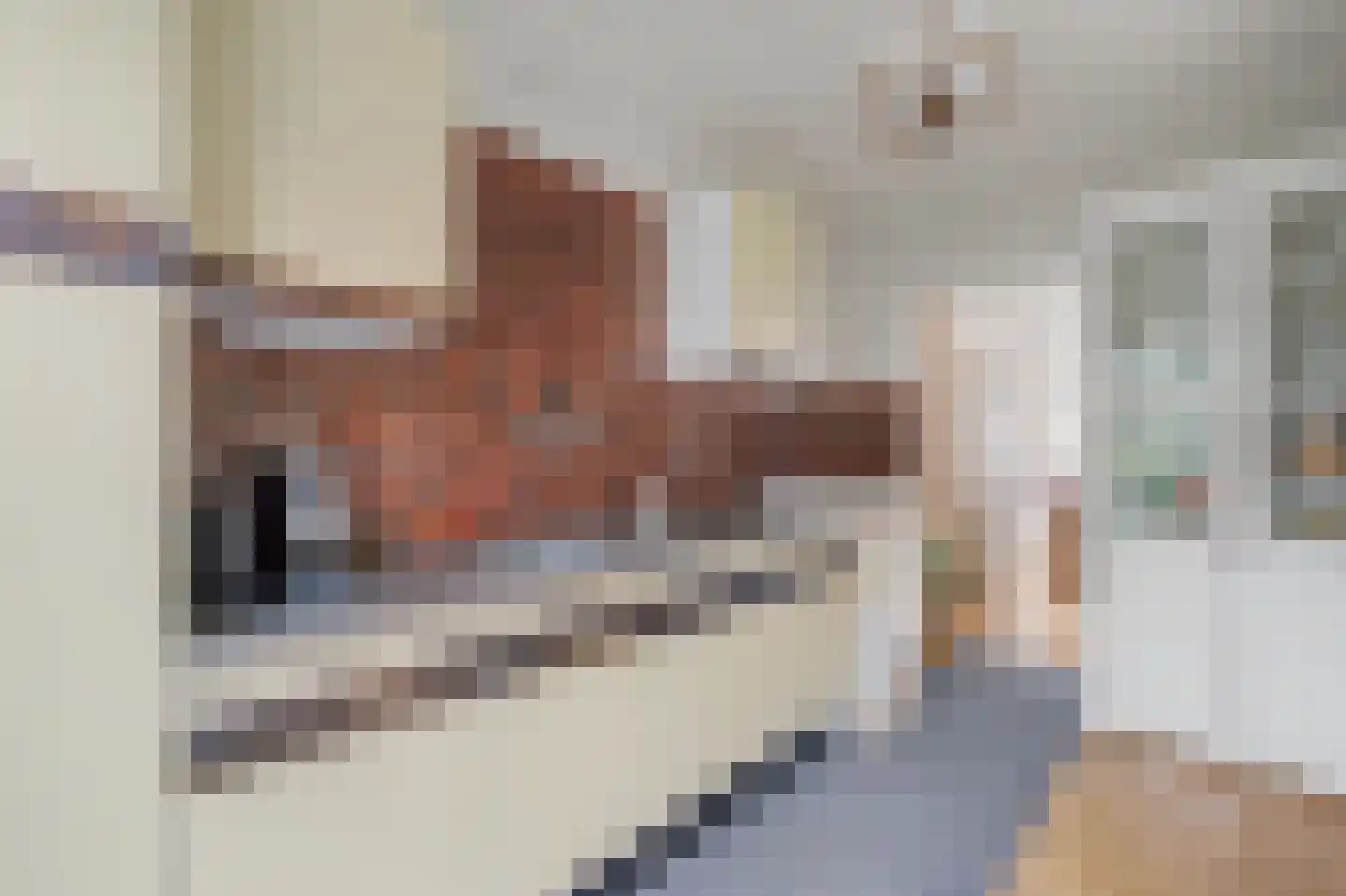 Schaapweg 29 Apeldoorn thumbnail 18