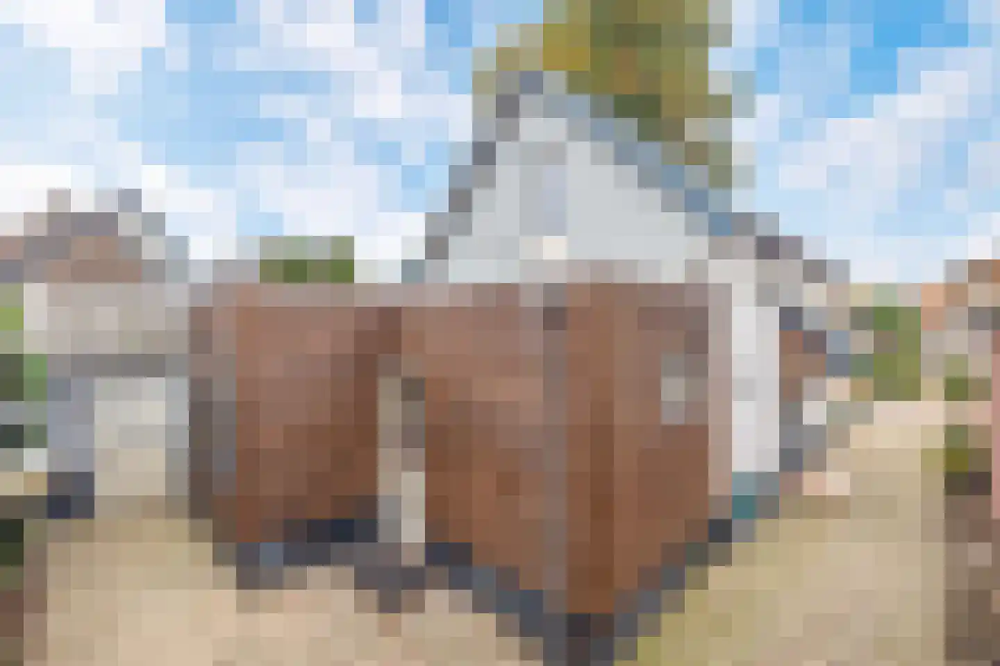Schaapweg 29 Apeldoorn thumbnail 21