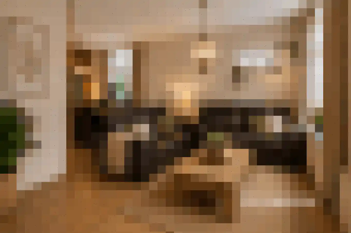 Schaapweg 29 Apeldoorn thumbnail 4