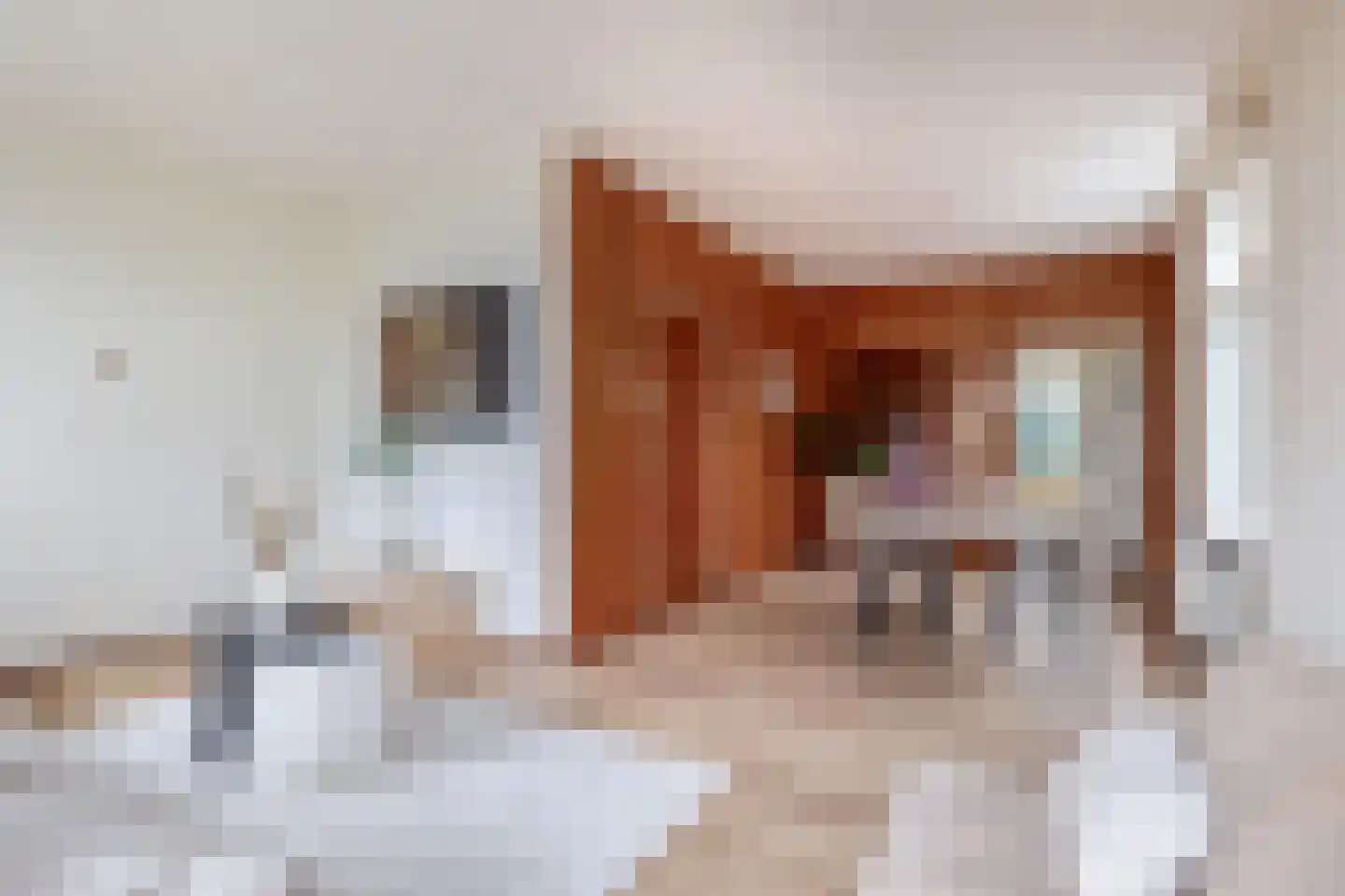 Schaapweg 29 Apeldoorn thumbnail 6