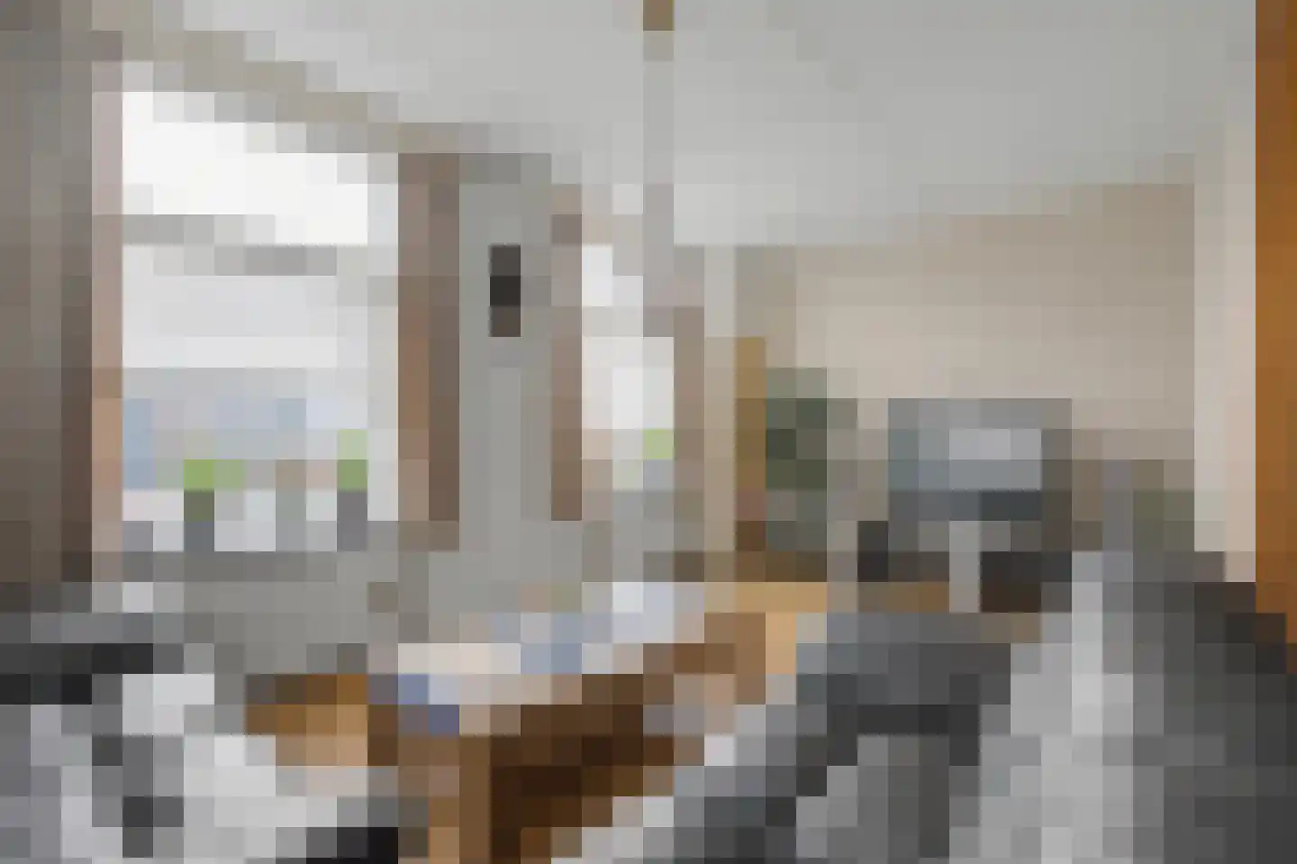 Schaapweg 29 Apeldoorn thumbnail 6