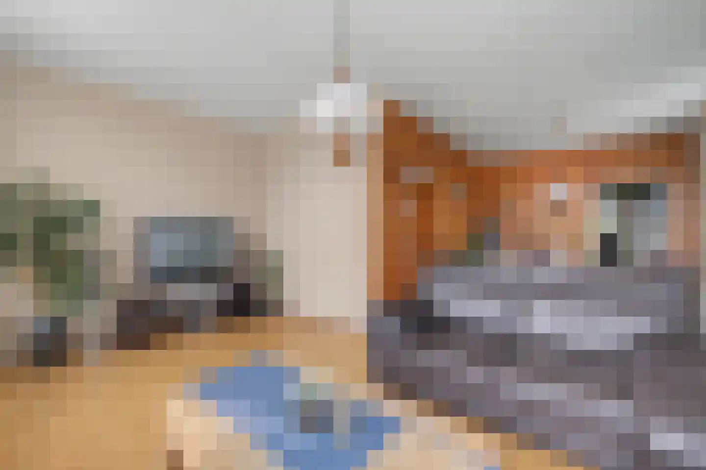Schaapweg 29 Apeldoorn thumbnail 7