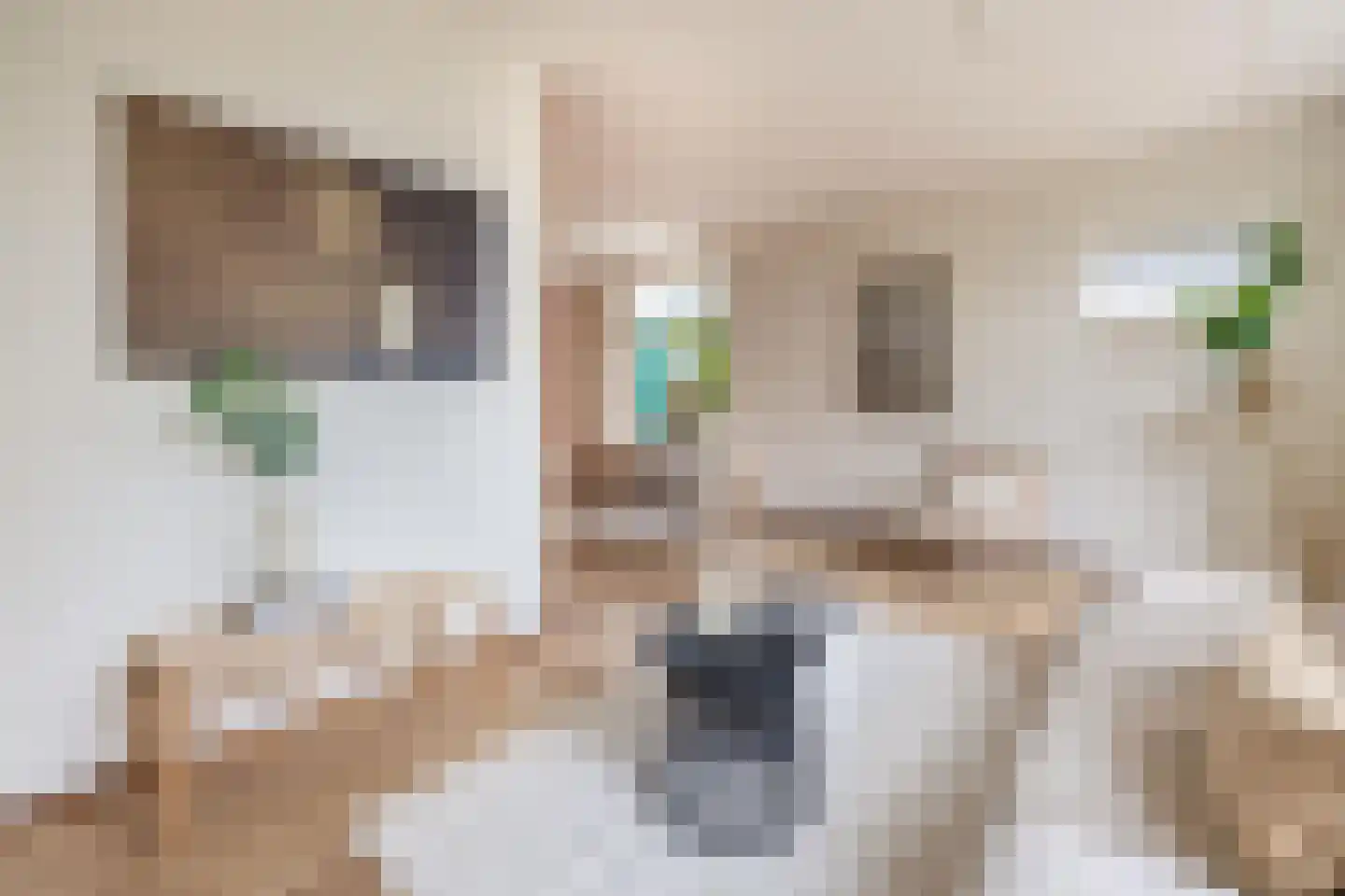 Schaapweg 29 Apeldoorn thumbnail 7