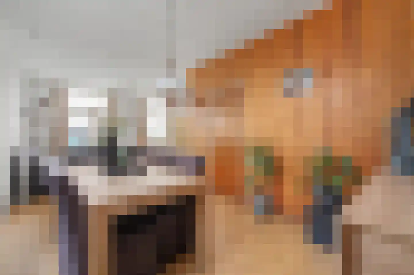 Schaapweg 29 Apeldoorn thumbnail 8