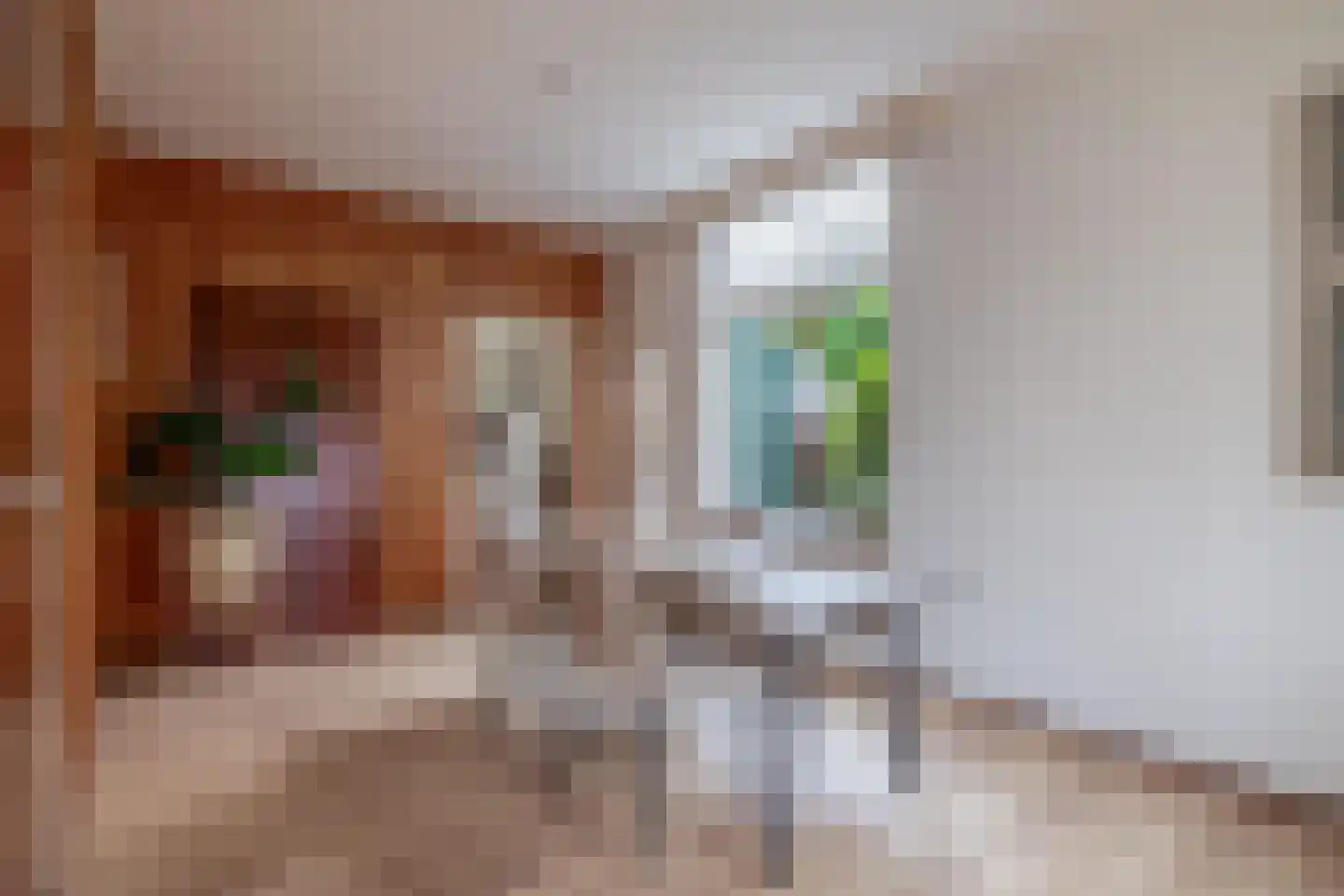Schaapweg 29 Apeldoorn thumbnail 9