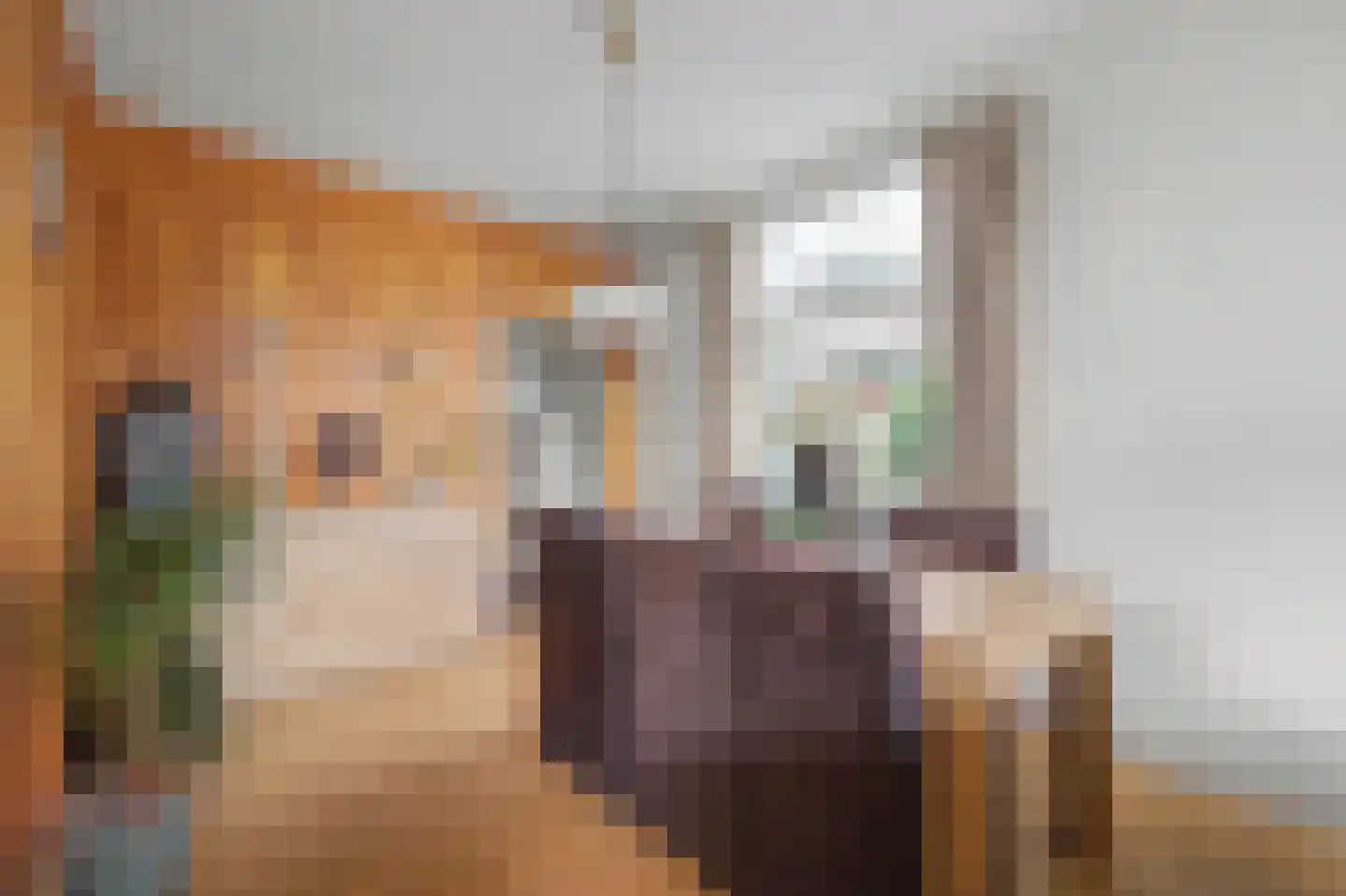 Schaapweg 29 Apeldoorn thumbnail 9