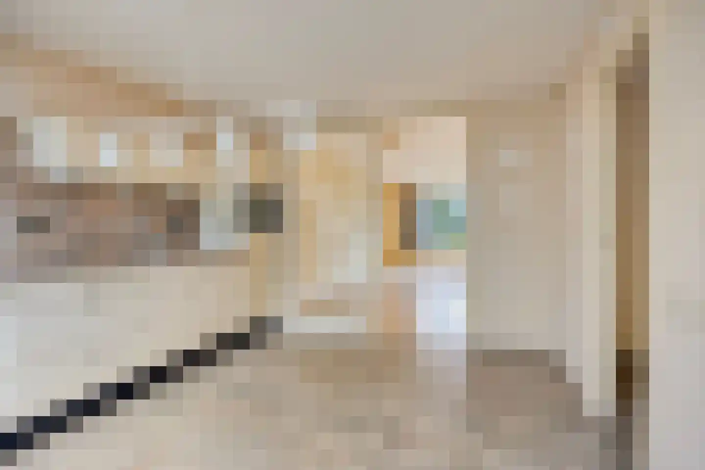Schaapweg 5 Vlodrop thumbnail 12