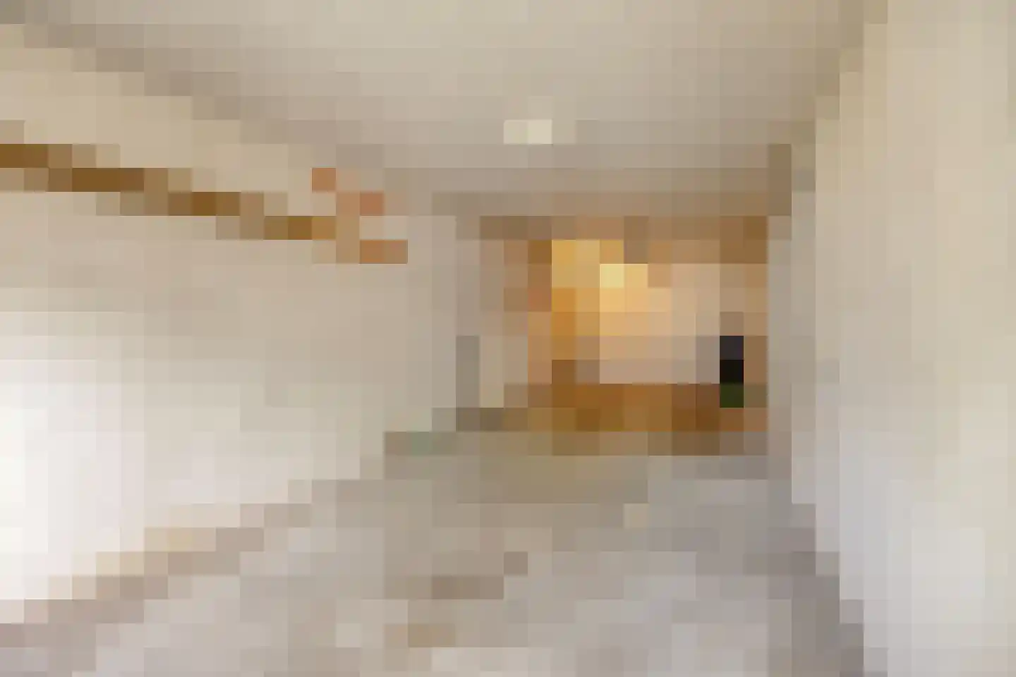 Schaapweg 5 Vlodrop thumbnail 20