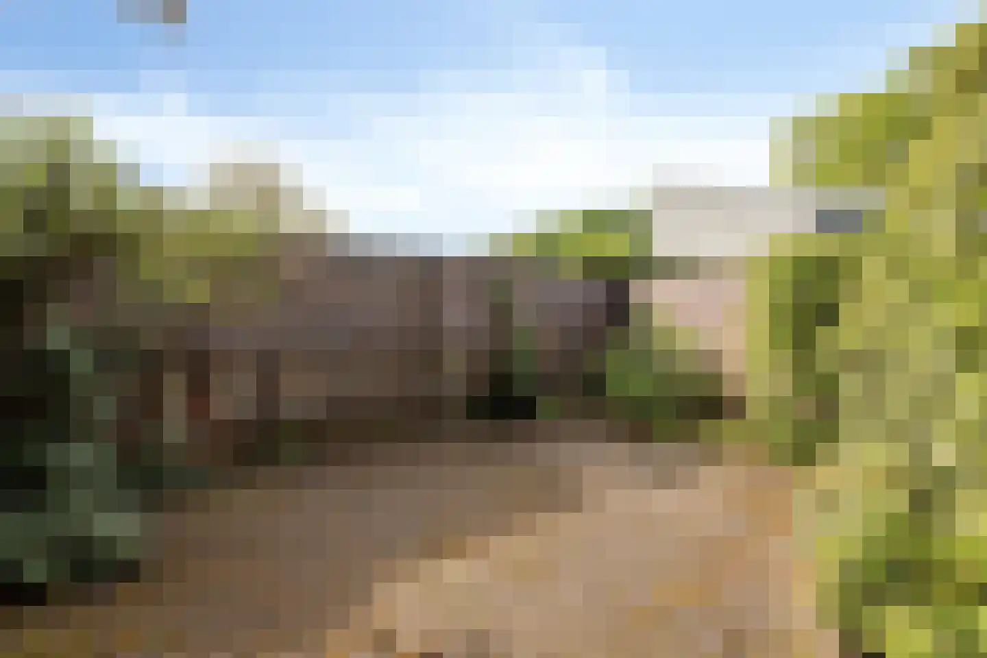 Schaapweg 5 Vlodrop thumbnail 36
