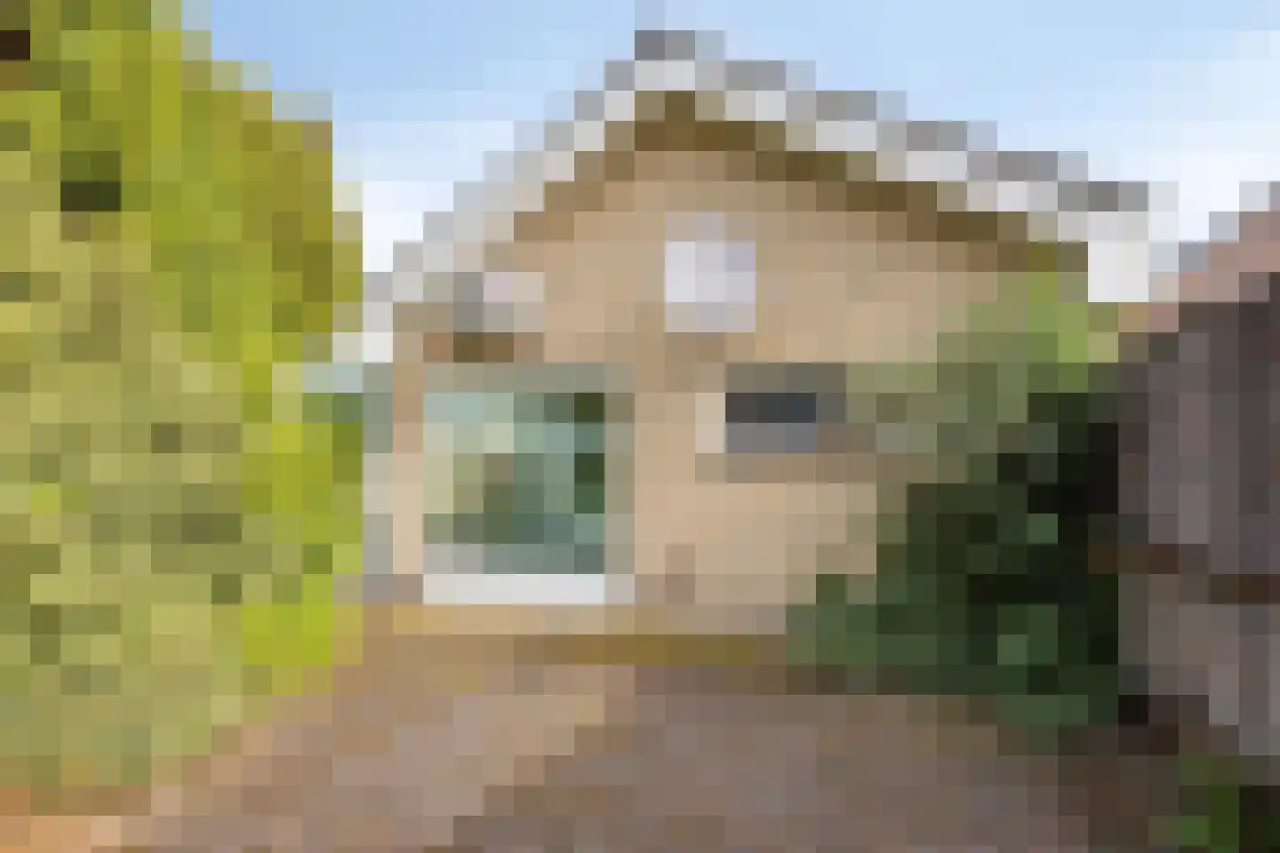 Schaapweg 5 Vlodrop thumbnail 37