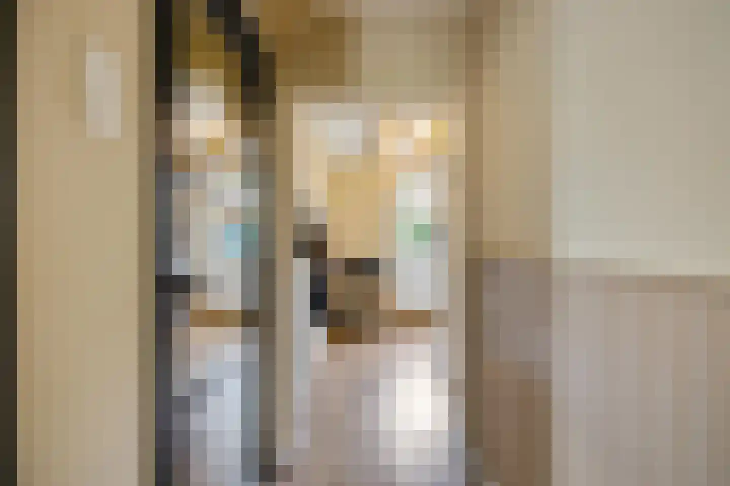 Schaapweg 7 Warffum thumbnail 10
