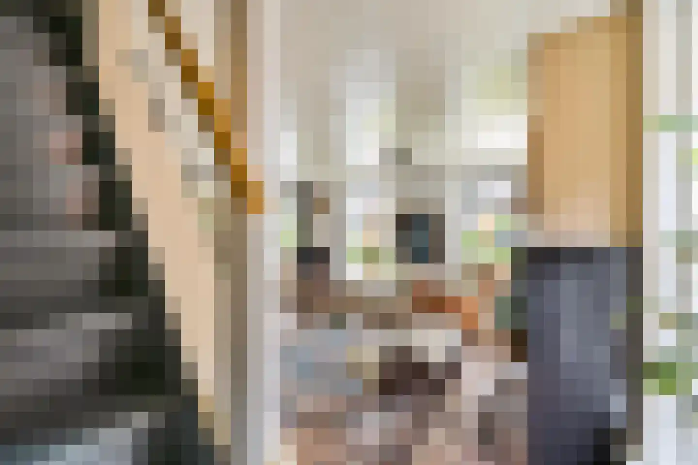 Schaapweg 7 Warffum thumbnail 15
