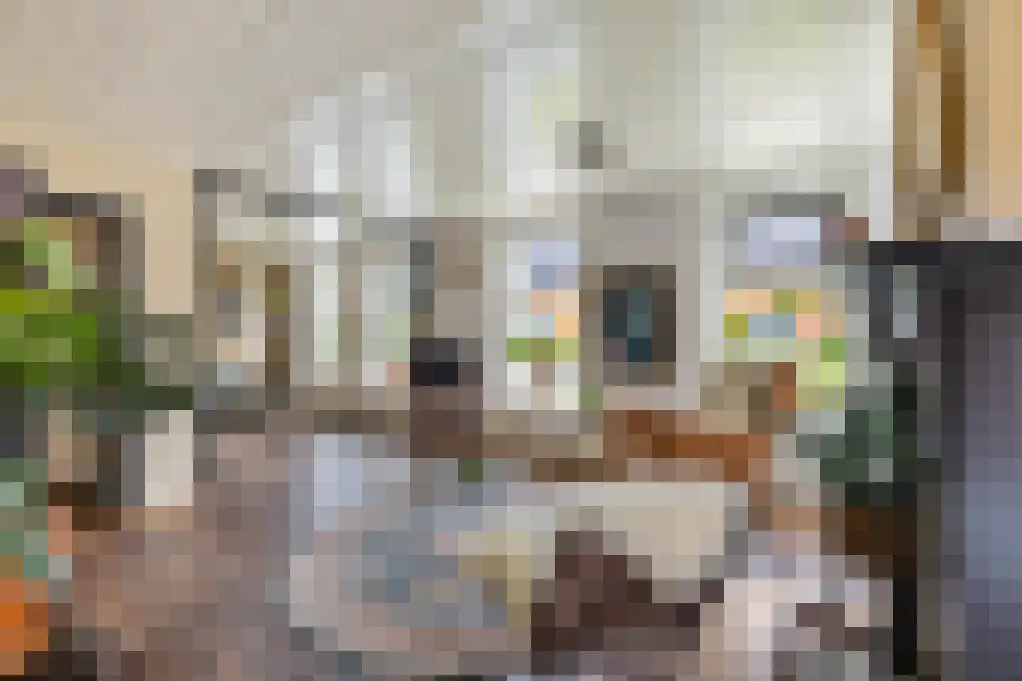 Schaapweg 7 Warffum thumbnail 16