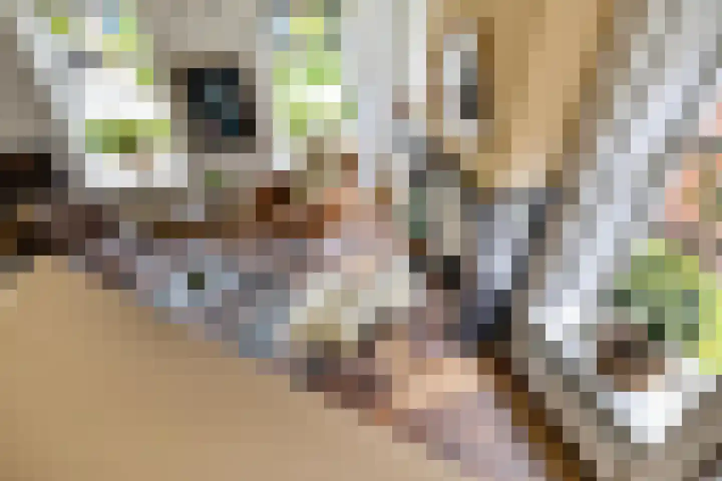 Schaapweg 7 Warffum thumbnail 17